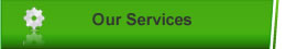 Our Services